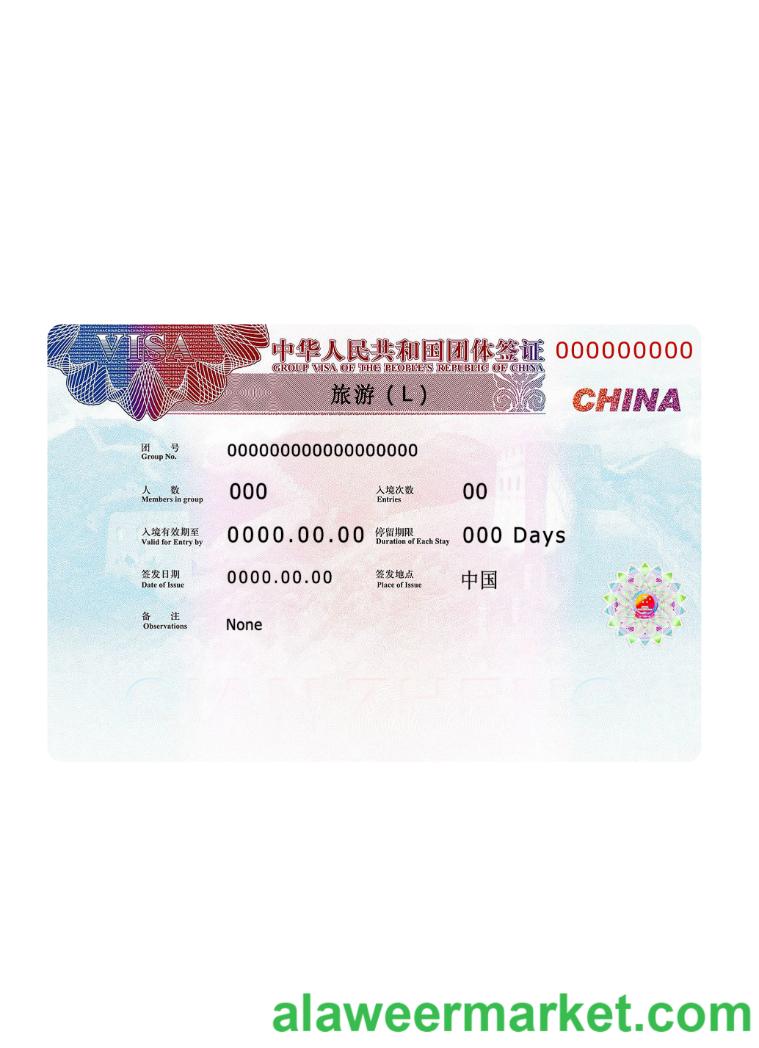 China visa 2019 present